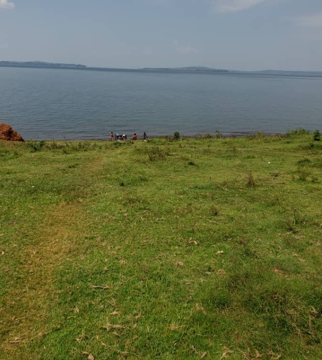 WhatsApp Image 2022-07-15 at 8.51.19 PM.jpeg